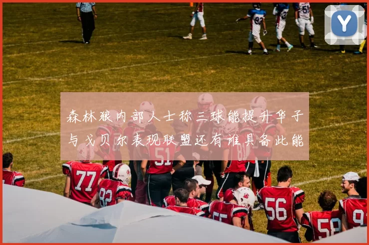森林狼内部人士称三球能提升华子与戈贝尔表现联盟还有谁具备此能力