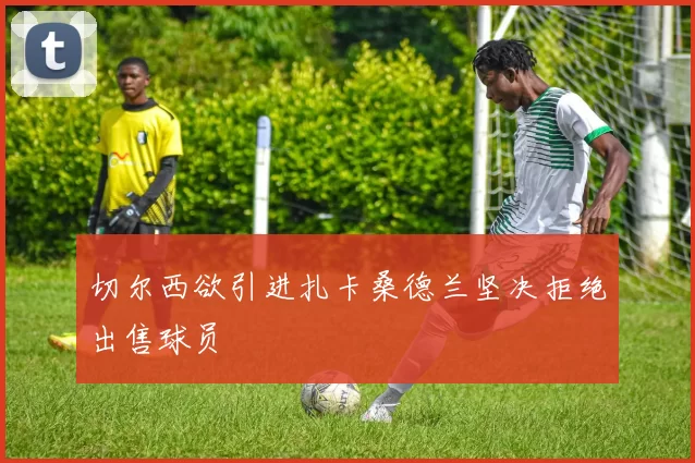 切尔西欲引进扎卡桑德兰坚决拒绝出售球员